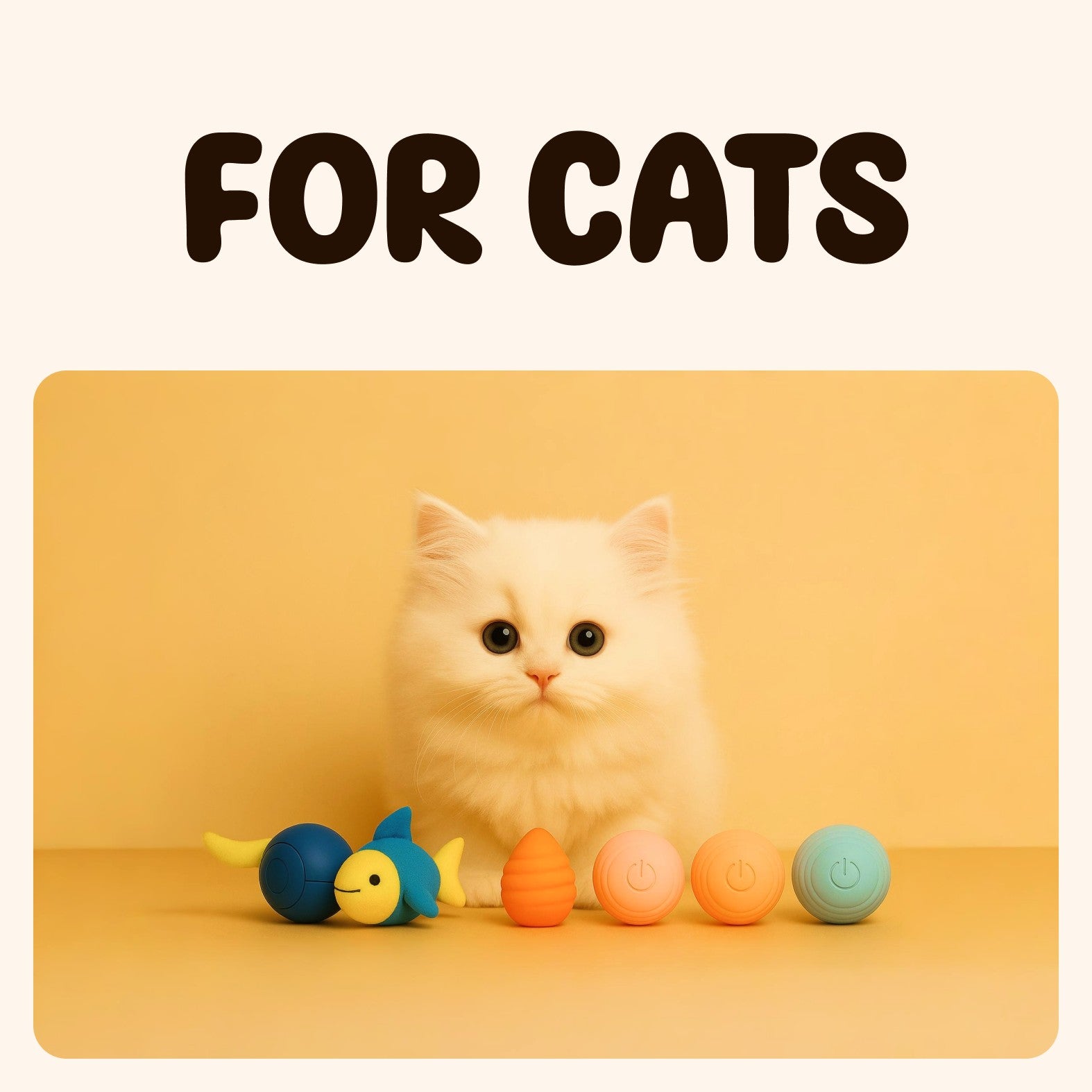 For Cats