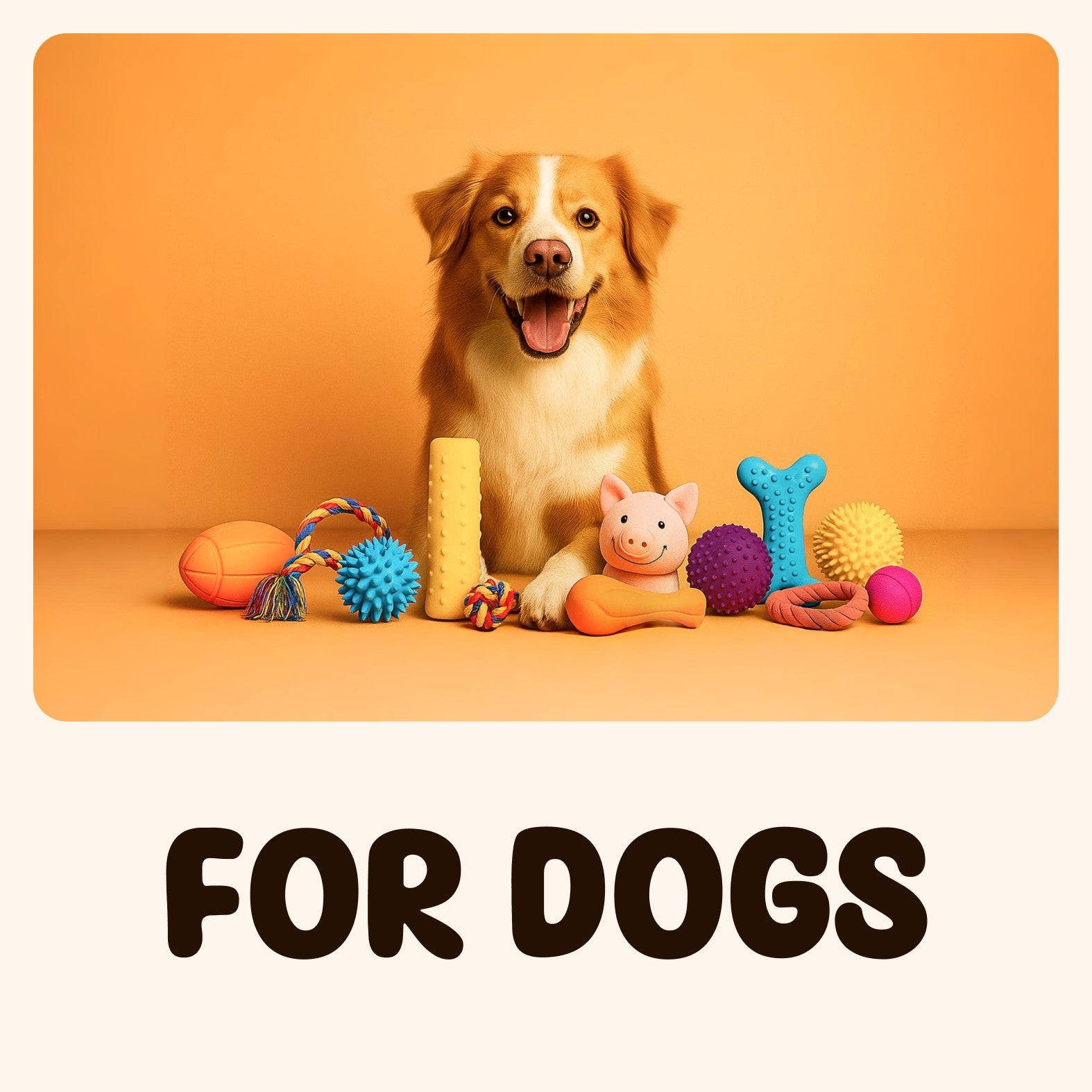 For Dogs