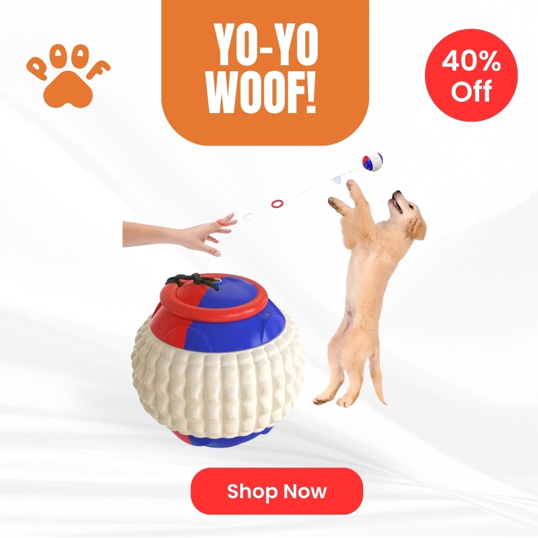 Yo-Yo Woof! — The Ultimate Bonding + Bounce Toy