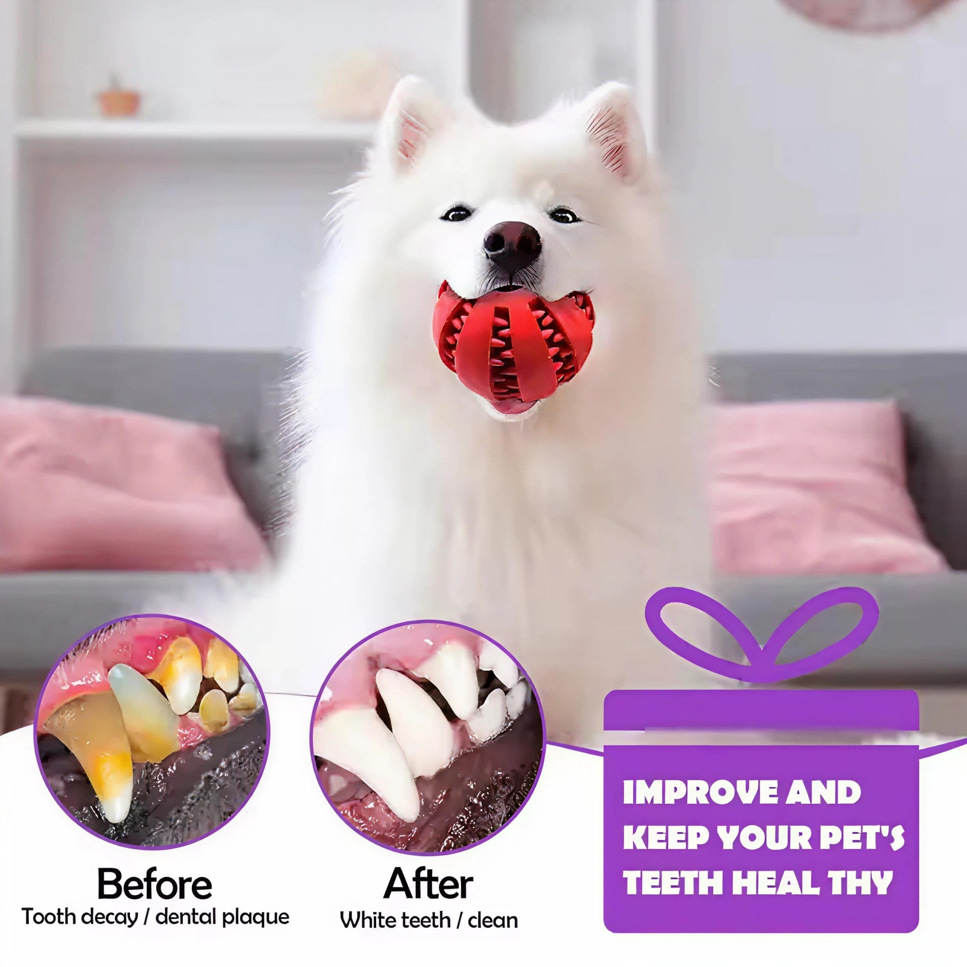 Tuff Treat Ball (Pack of 2) - Train, Chew, Thrive.