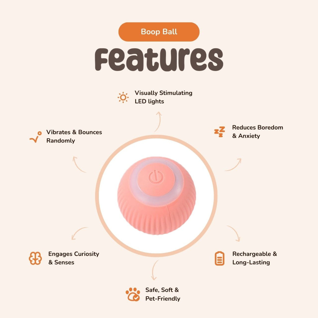 Boop Ball — Lights, Wiggles & Wiggles!