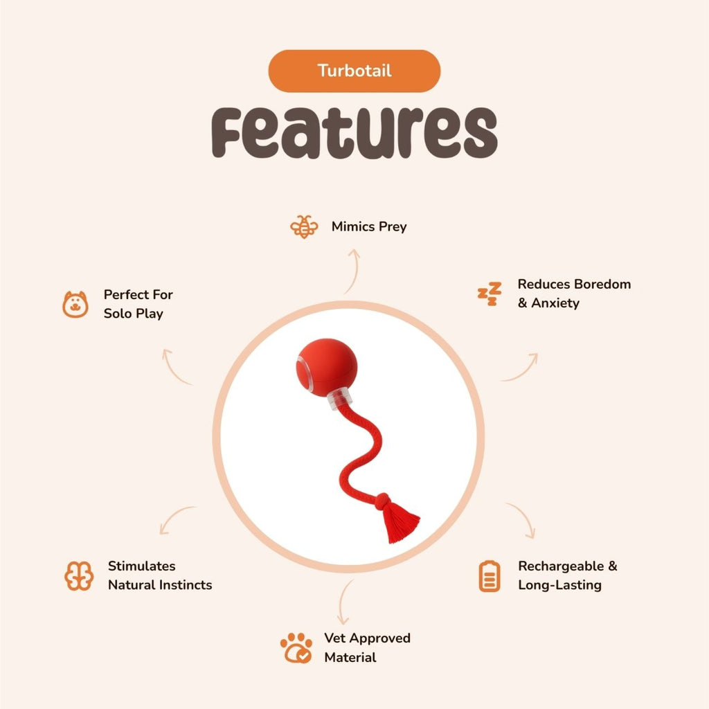 Turbo Tail — Light, Motion & Play All in One