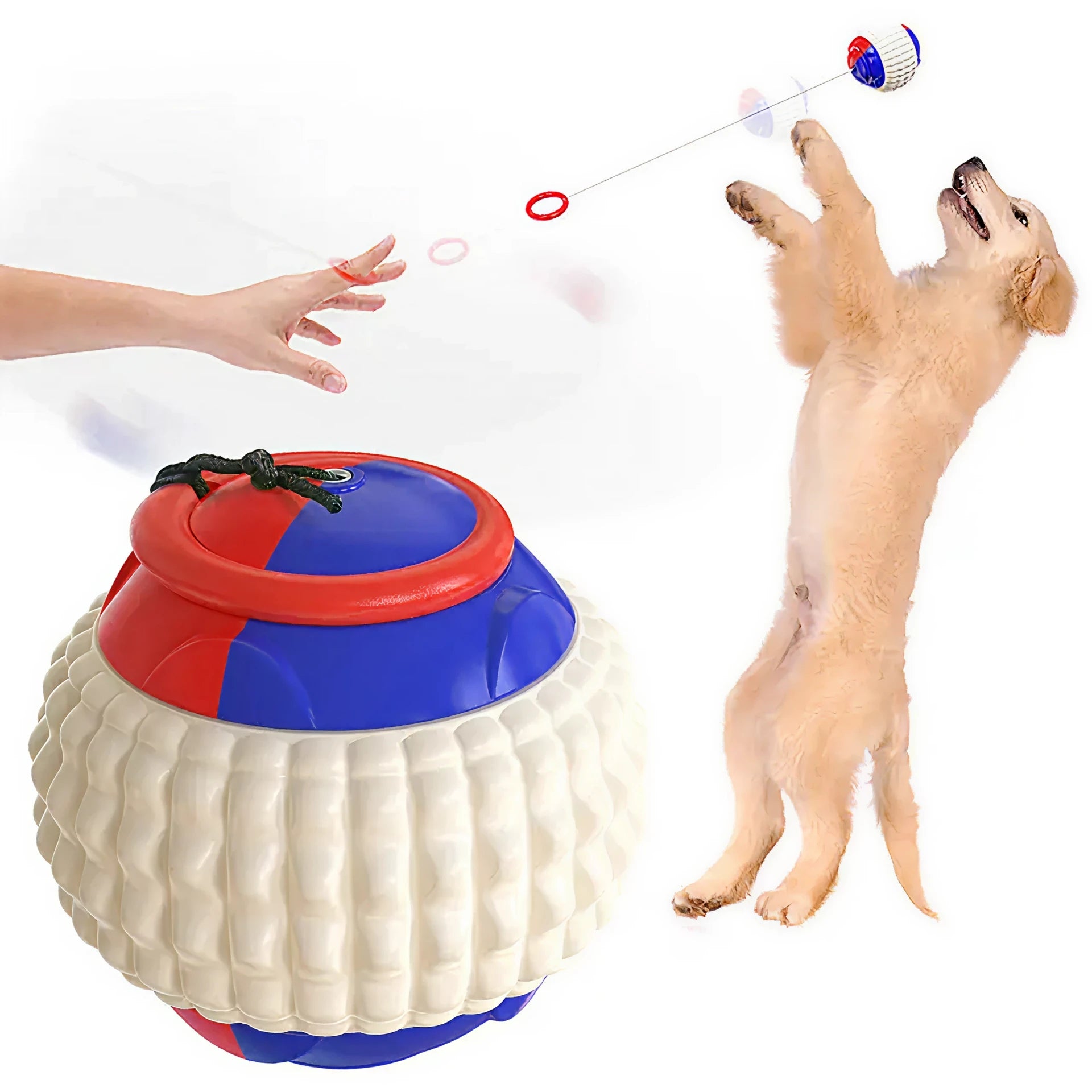 Yo-Yo Woof! — The Ultimate Bonding + Bounce Toy
