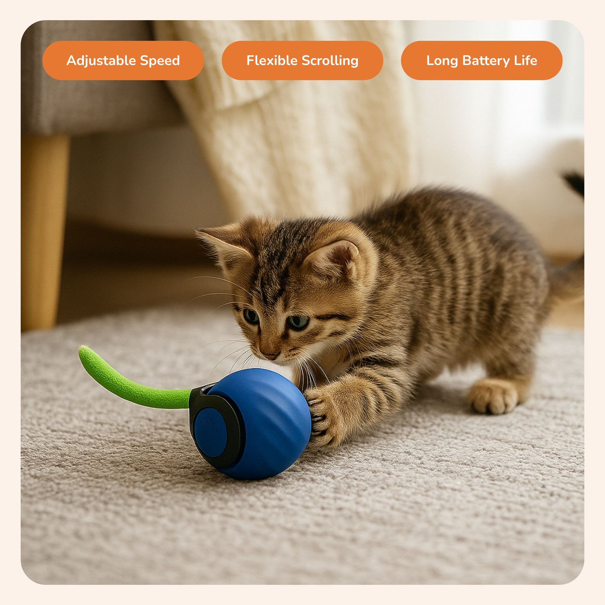 Tail Spin 2.0 — Where Smart Play Meets Natural Instincts