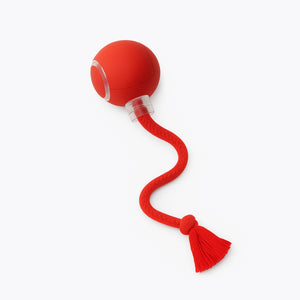 Turbo Tail — Light, Motion & Play All in One