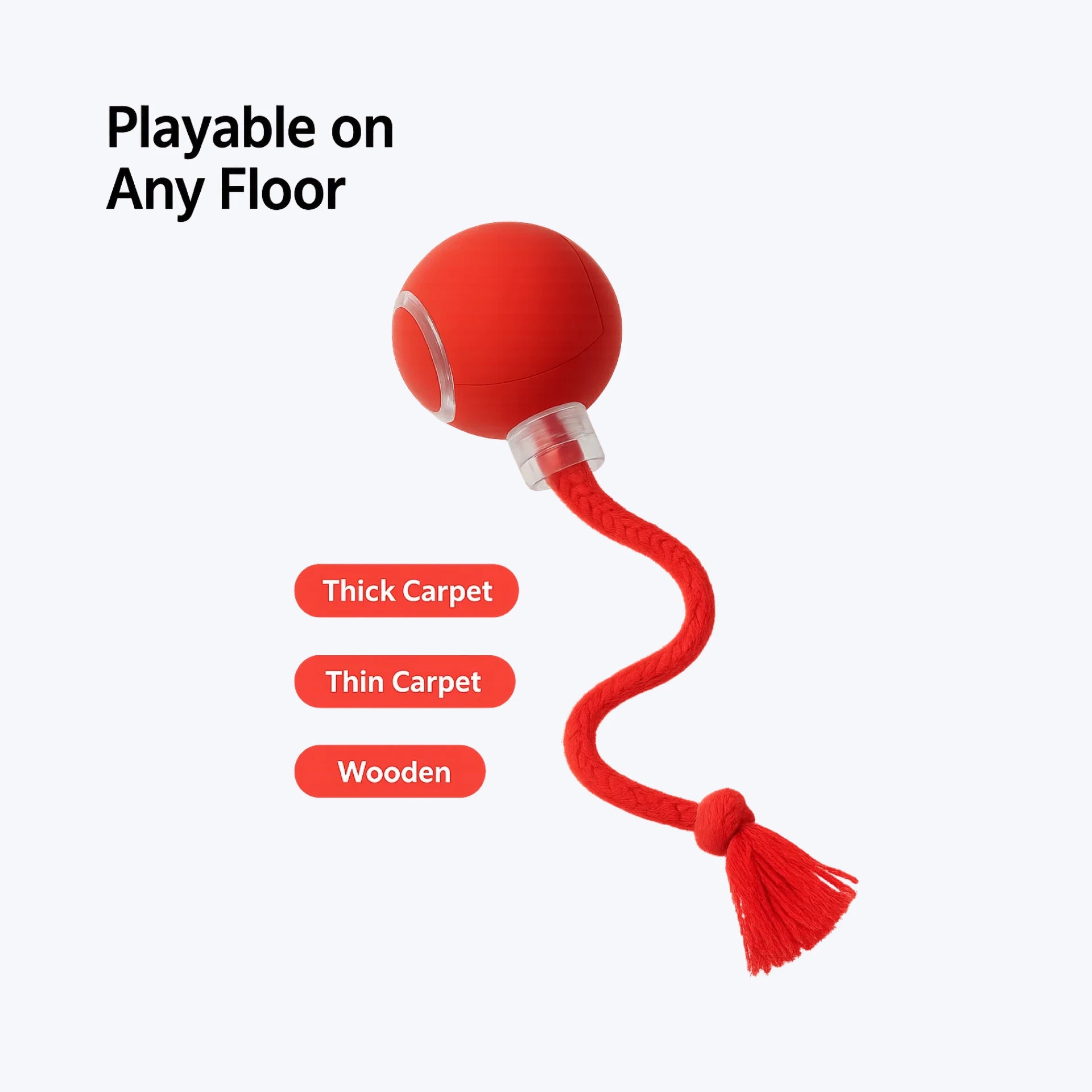 Turbo Tail — Light, Motion & Play All in One